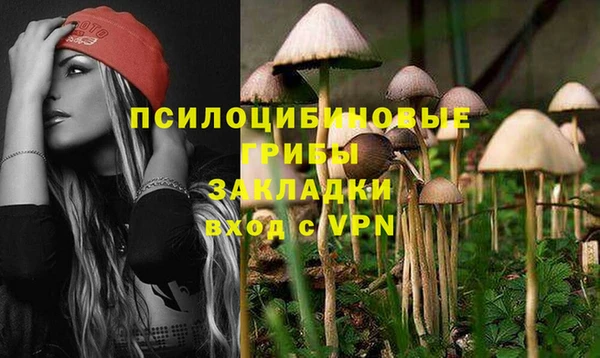 шишки Медногорск