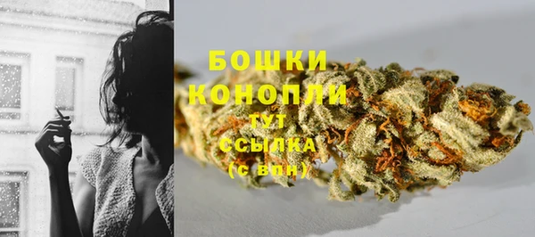 прущая мука Дмитриев
