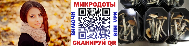 нарко площадка какой сайт Жуковский Псилоцибиновые грибы Psilocybe гидра как войти