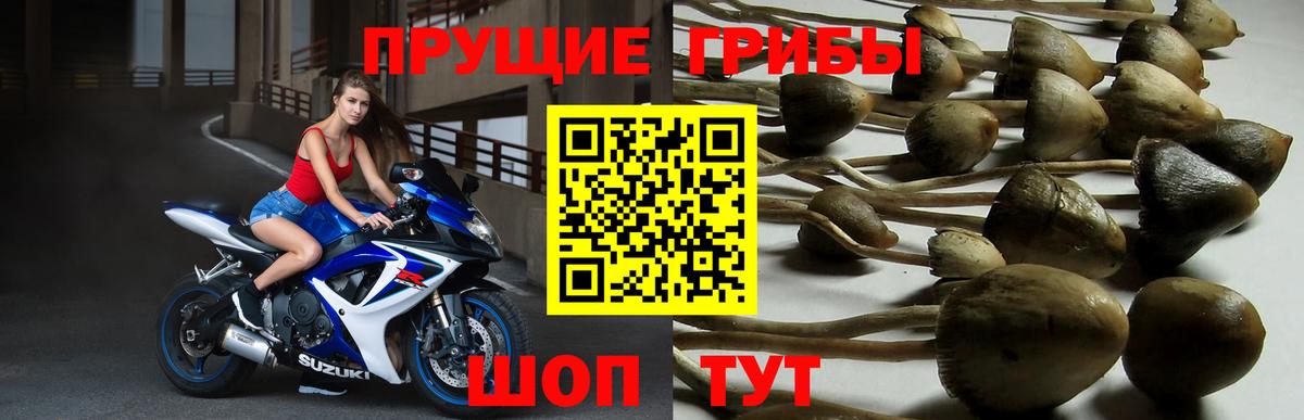 Псилоцибиновые грибы мухоморы Жуковский